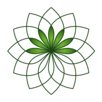 Lotus Licht